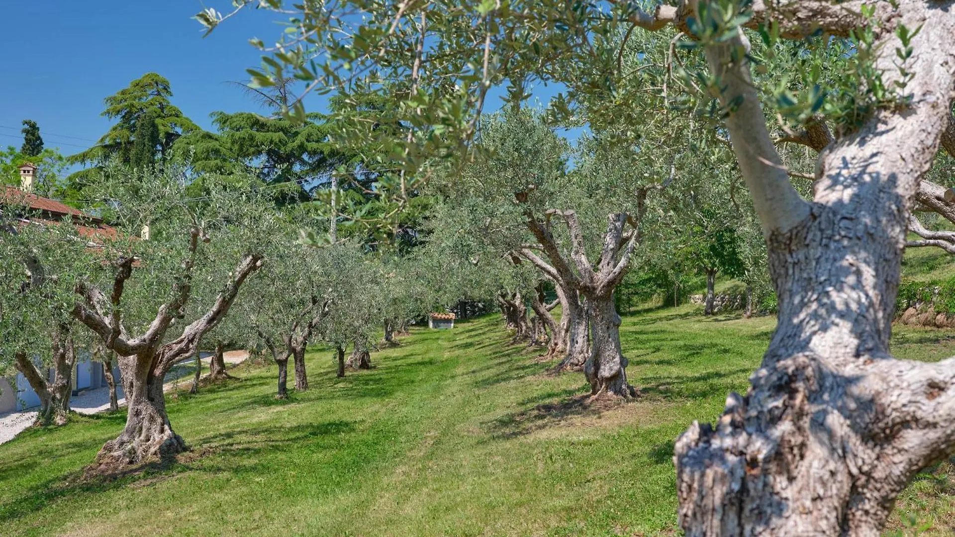 Cason Degli Ulivi-Apt Rose Rivoli Veronese Apartman