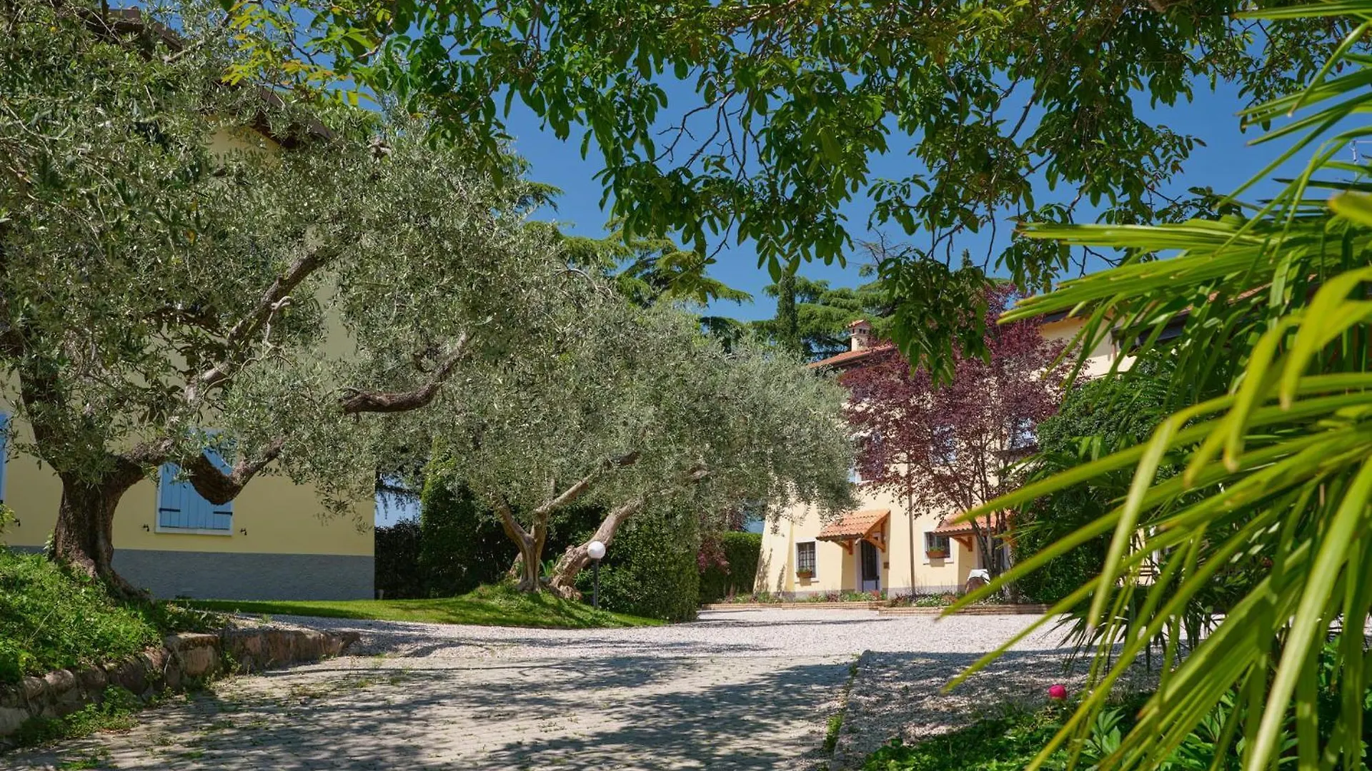 Cason Degli Ulivi-Apt Rose Rivoli Veronese 0*,
